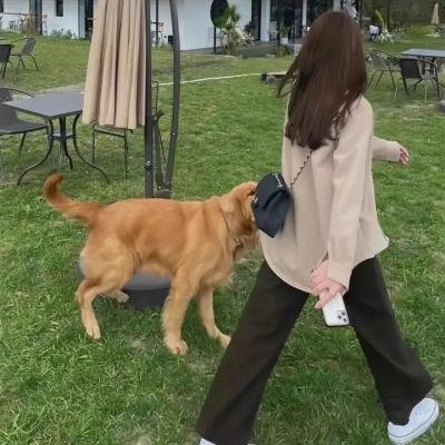 开你的船