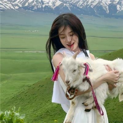 不规则的爱